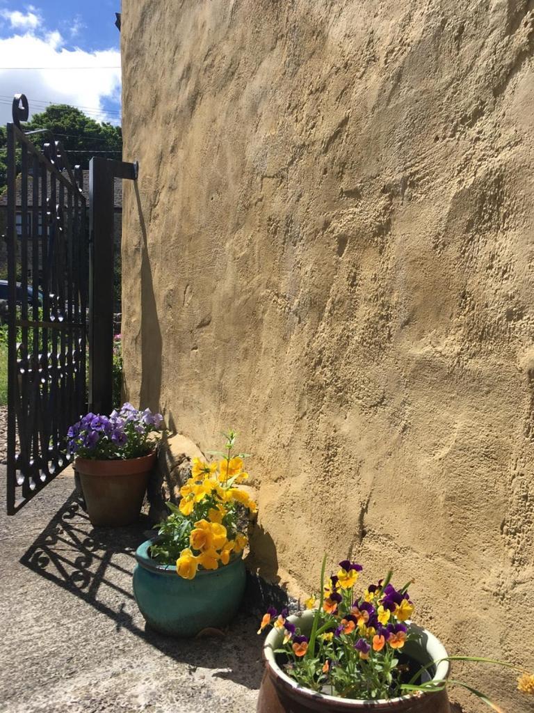Holmlea Cottage Mickleton  エクステリア 写真